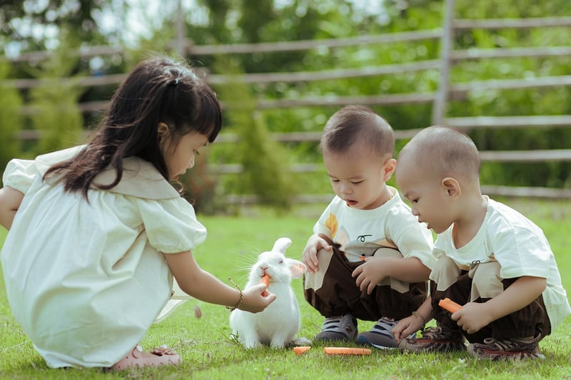 Picnic in Nature